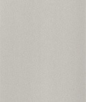 Ivory silver gloss